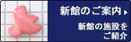 �s�D�ǂɂ���